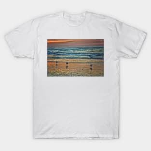 Three Gulls At Sunrise T-Shirt